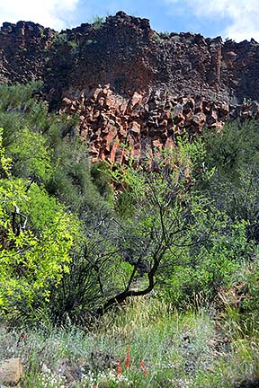 Basalt Flows, Sycamore Canyon, April 16, 2015